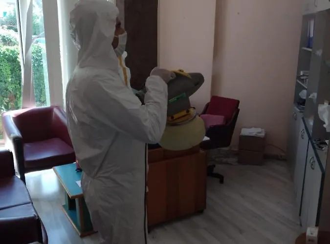 Kleopatra Sunlight 3* אלאניה