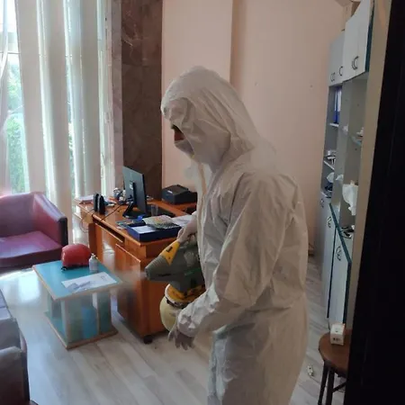 Kleopatra Sunlight Αλάνια